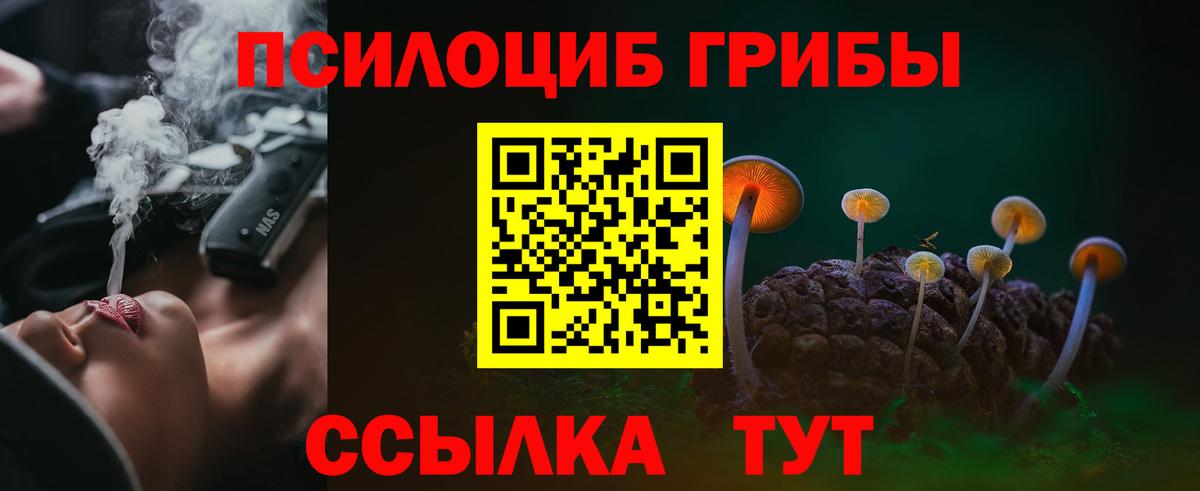 Тольятти  купить наркоту  Вход с VPN  Псилоцибиновые грибы MAGIC MUSHROOMS 